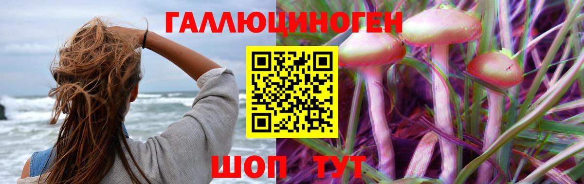 Галлюциногенные грибы прущие грибы  как найти закладки  Галлюциногенные грибы Psilocybine cubensis  Воркута  Вход с VPN 